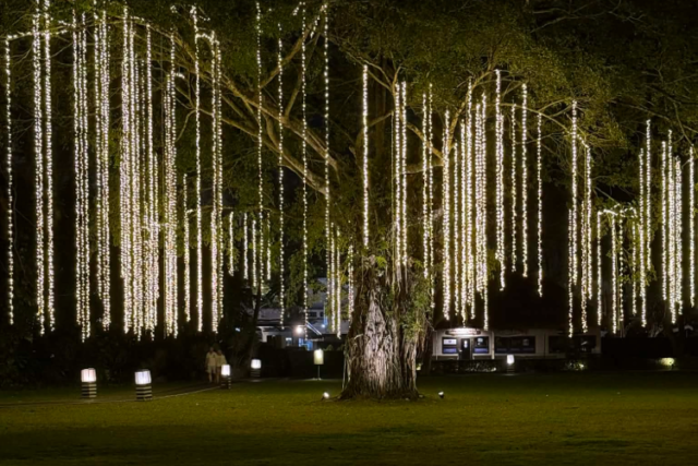 The Slate Phuket garden at night